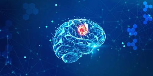 使用深度神經(jīng)網(wǎng)絡(luò)預(yù)測(cè)大腦如何處理自然聲音